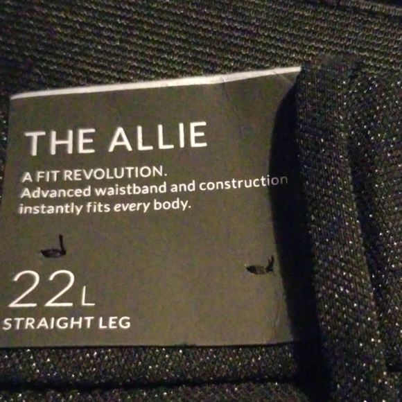 Lane Bryant Sexy Stretch Pants - Picture 2 of 4